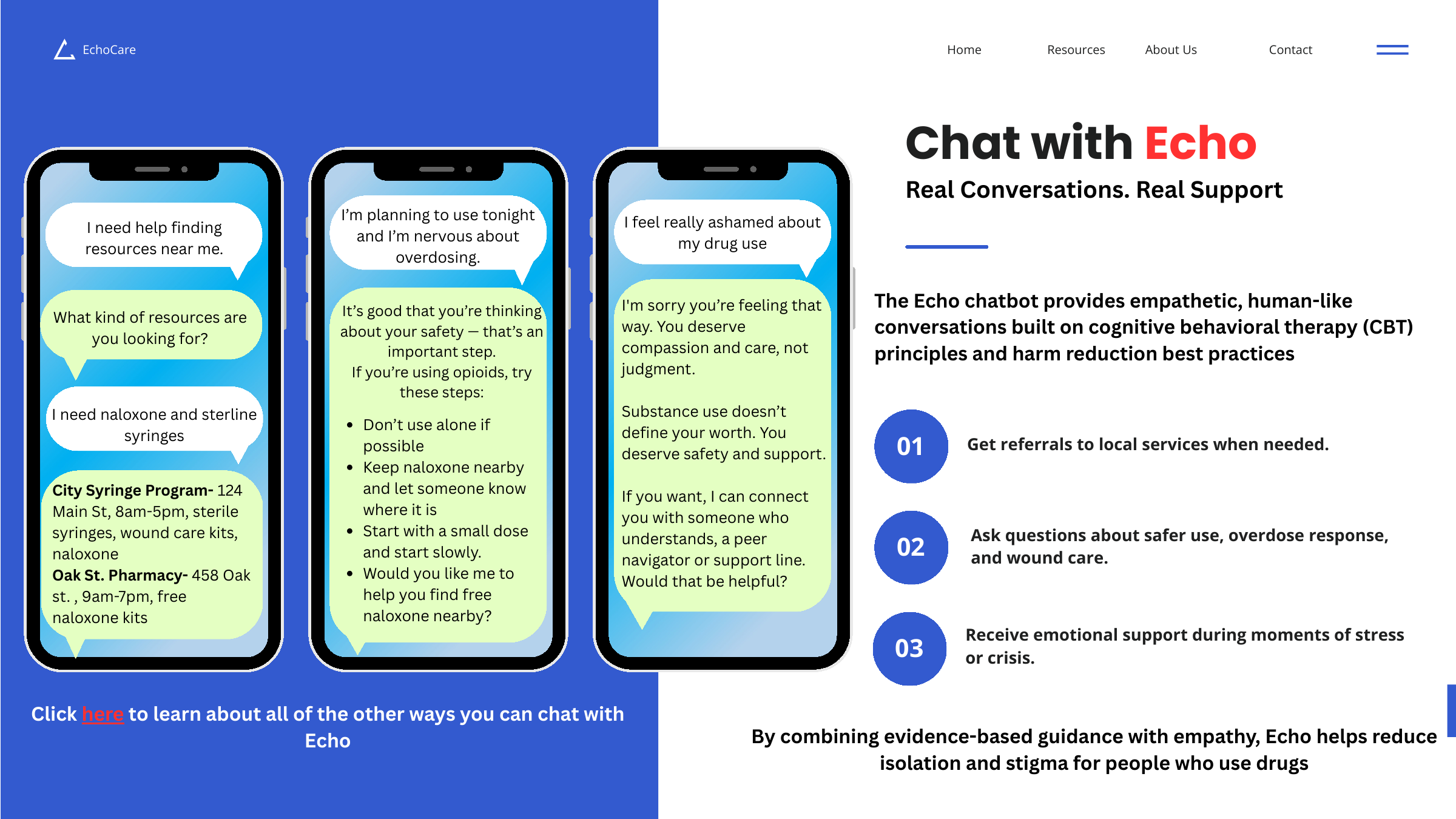 EchoCare chat interface prototype